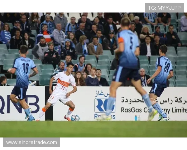 中央海岸迎战琥珀澳超激战即将上演球迷期待精彩对决